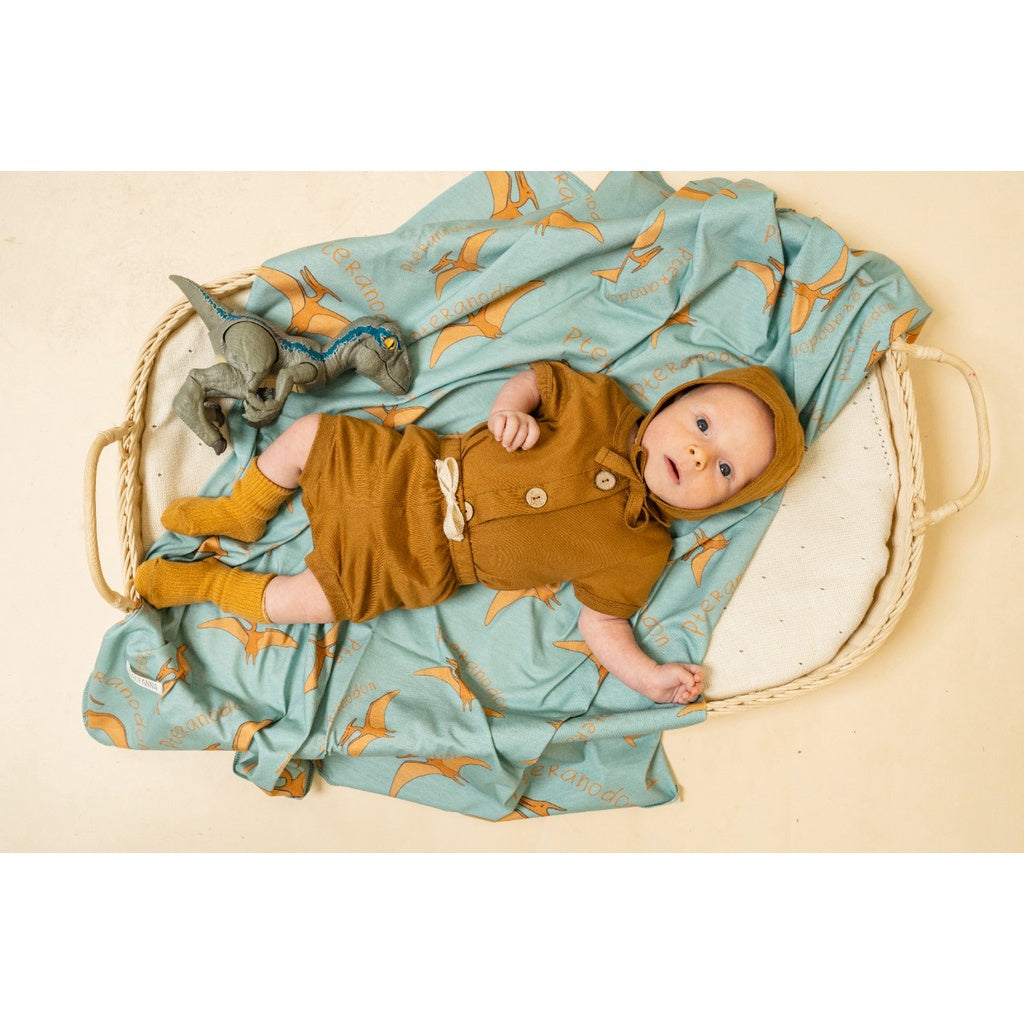 SWADDLE DINO